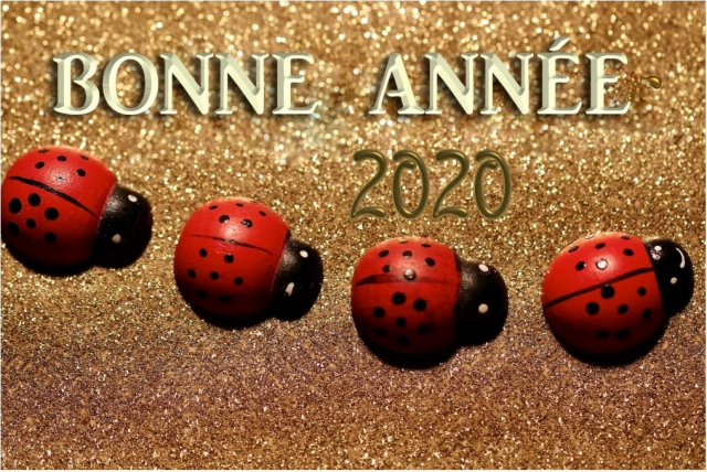 voeux 2020